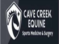 Cave Creek equine