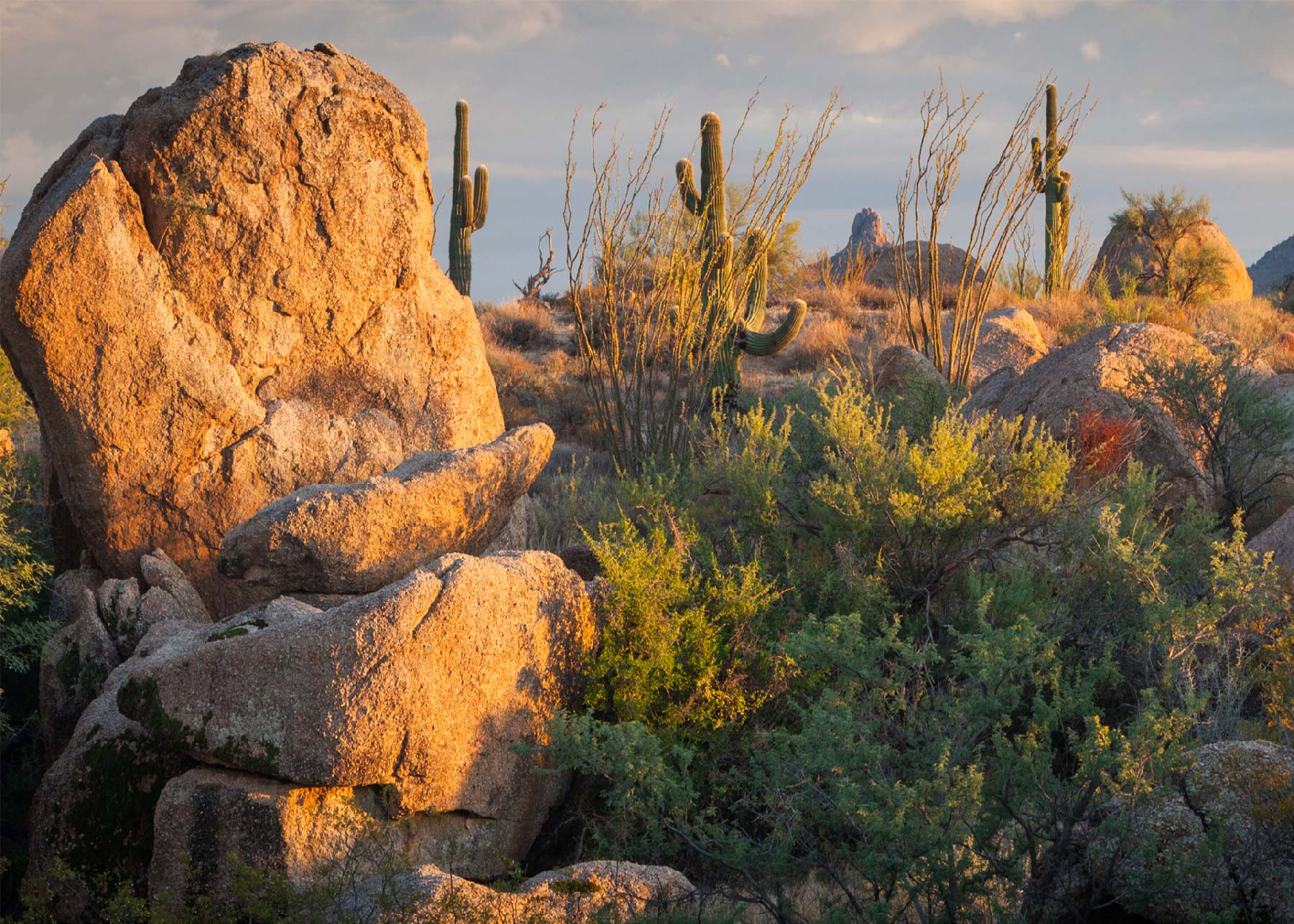 cave-creek-and-carefree-arizona Cave Creek & Carefree Arizona